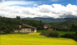 四川的特色美食有哪些吃的：盘点更具四川当地特色的美味佳肴