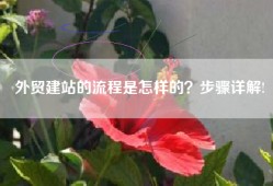 外贸建站的流程是怎样的？步骤详解!