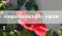 外贸建站的流程是怎样的？步骤详解!