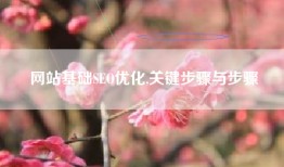 网站基础SEO优化,关键步骤与步骤
