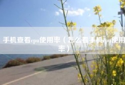 手机查看cpu使用率（怎么看手机cpu使用率）