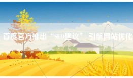 百度官方推出“SEO建议” 引航网站优化