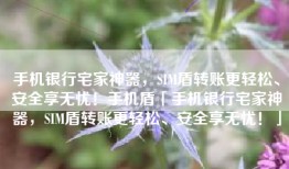 手机银行宅家神器，SIM盾转账更轻松、安全享无忧！手机盾「手机银行宅家神器，SIM盾转账更轻松、安全享无忧！」