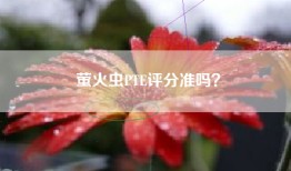 萤火虫PTE评分准吗？