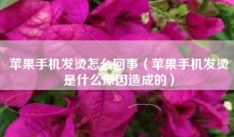 苹果手机发烫怎么回事（苹果手机发烫是什么原因造成的）