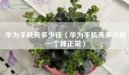 华为手机壳多少钱（华为手机壳多少钱一个算正常）