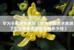 华为手机进水黑屏（华为手机进水黑屏了怎么恢复正常维修要多少钱）