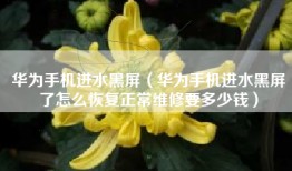 华为手机进水黑屏（华为手机进水黑屏了怎么恢复正常维修要多少钱）