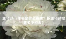 亚马逊aba排名是什么意思？做亚马逊需要多少资金？