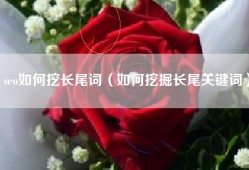 seo如何挖长尾词（如何挖掘长尾关键词）