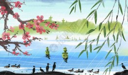 同号老普洱茶
