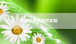 策略型高端网络定制
