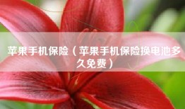 苹果手机保险（苹果手机保险换电池多久免费）