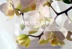 沈阳为什么叫奉天