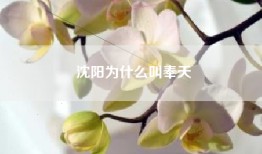 沈阳为什么叫奉天