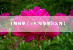 手机预览（手机预览图怎么弄）