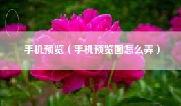 手机预览（手机预览图怎么弄）