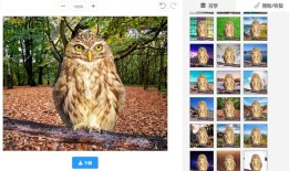 免费抠图软件有哪些？推荐5款免费的抠图软件