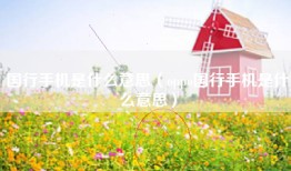 国行手机是什么意思（oppo国行手机是什么意思）