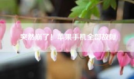 突然崩了！苹果手机全部故障