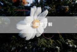 ASO--简单了解