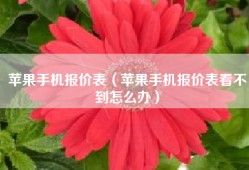苹果手机报价表（苹果手机报价表看不到怎么办）