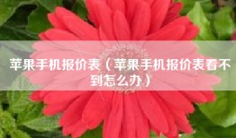 苹果手机报价表（苹果手机报价表看不到怎么办）