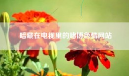暗藏在电视里的赌博色情网站