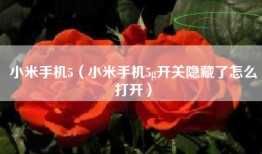 小米手机5（小米手机5g开关隐藏了怎么打开）