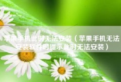 苹果手机此时无法安装（苹果手机无法安装软件时提示此时无法安装）