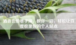 酒香也怕巷子深，教你一招，轻松让百度收录你的个人站点