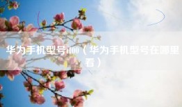 华为手机型号tl00（华为手机型号在哪里看）