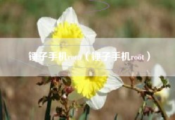 锤子手机rom（锤子手机root）