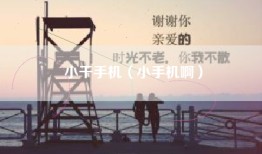 小干手机（小手机啊）