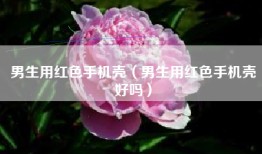 男生用红色手机壳（男生用红色手机壳好吗）