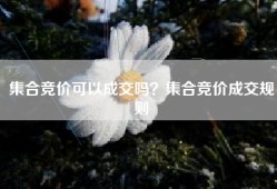 集合竞价可以成交吗？集合竞价成交规则