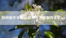 如何制作手机app软件（怎样制作手机app）