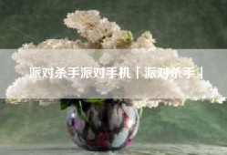 派对杀手派对手机「派对杀手」