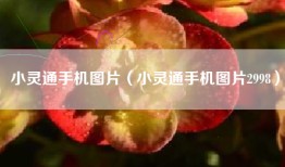 小灵通手机图片（小灵通手机图片2998）