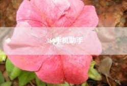 360手机助手