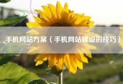 手机网站方案（手机网站建设的技巧）
