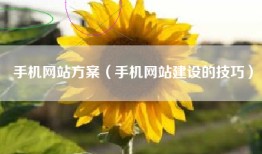 手机网站方案（手机网站建设的技巧）