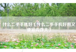 什么二手手机好（什么二手手机好用又便宜内存大）