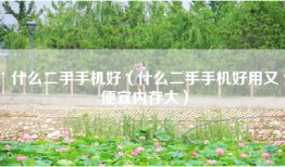 什么二手手机好（什么二手手机好用又便宜内存大）