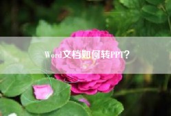 Word文档如何转PPT？