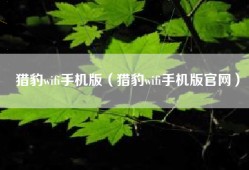 猎豹wifi手机版（猎豹wifi手机版官网）