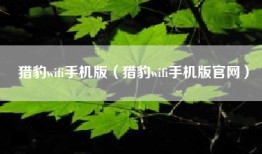 猎豹wifi手机版（猎豹wifi手机版官网）