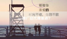 app推广总代理渠道？