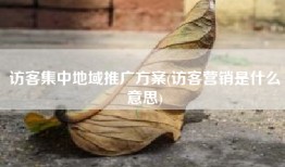 访客集中地域推广方案(访客营销是什么意思)