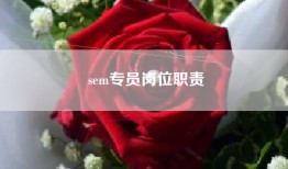 sem专员岗位职责